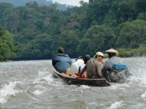 L’Alto-Mahakam River – Il grande fiume del Kalimantan – 2P