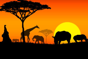 Animales en la puesta del sol