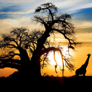 Tramonto in Sud Africa