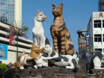 KUCHING – Capitale dei Rajah Bianchi e Regno dei gatti – 2P