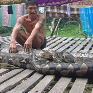 Un-abitante-dellApo-Kayan-con-un-serpente-boa